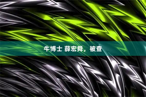 牛博士 薛宏舜，被查
