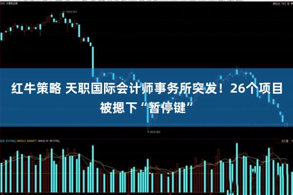 红牛策略 天职国际会计师事务所突发！26个项目被摁下“暂停键”