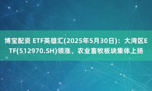 博宝配资 ETF英雄汇(2025年5月30日)：大湾区ETF(512970.SH)领涨、农业畜牧板块集体上扬