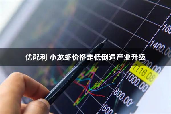 优配利 小龙虾价格走低倒逼产业升级