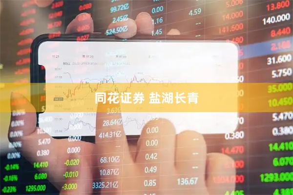 同花证券 盐湖长青