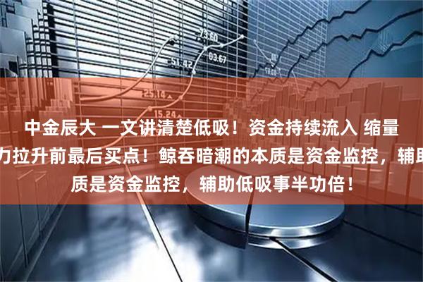 中金辰大 一文讲清楚低吸！资金持续流入 缩量回踩趋势线=主力拉升前最后买点！鲸吞暗潮的本质是资金监控，辅助低吸事半功倍！
