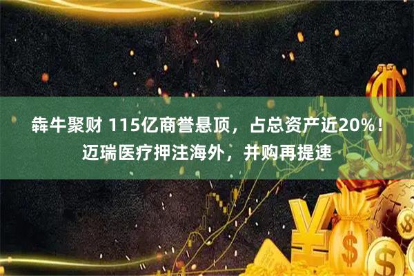 犇牛聚财 115亿商誉悬顶，占总资产近20%！迈瑞医疗押注海外，并购再提速