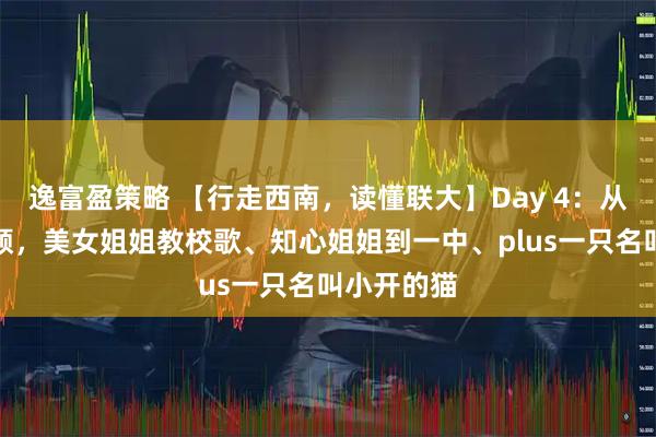 逸富盈策略 【行走西南，读懂联大】Day 4：从黄平到安顺，美女姐姐教校歌、知心姐姐到一中、plus一只名叫小开的猫
