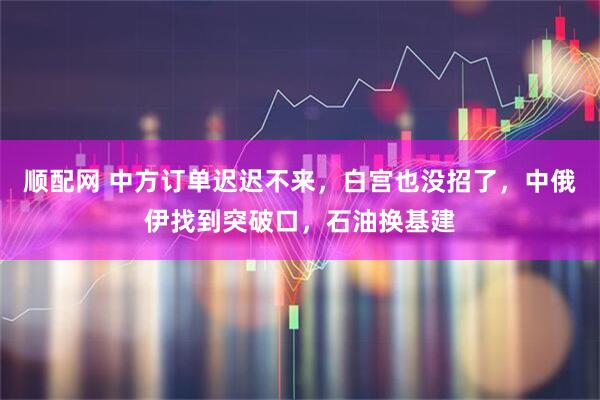 顺配网 中方订单迟迟不来，白宫也没招了，中俄伊找到突破口，石油换基建