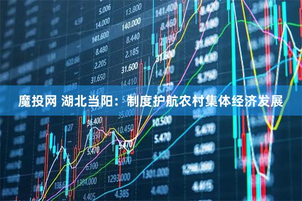 魔投网 湖北当阳：制度护航农村集体经济发展